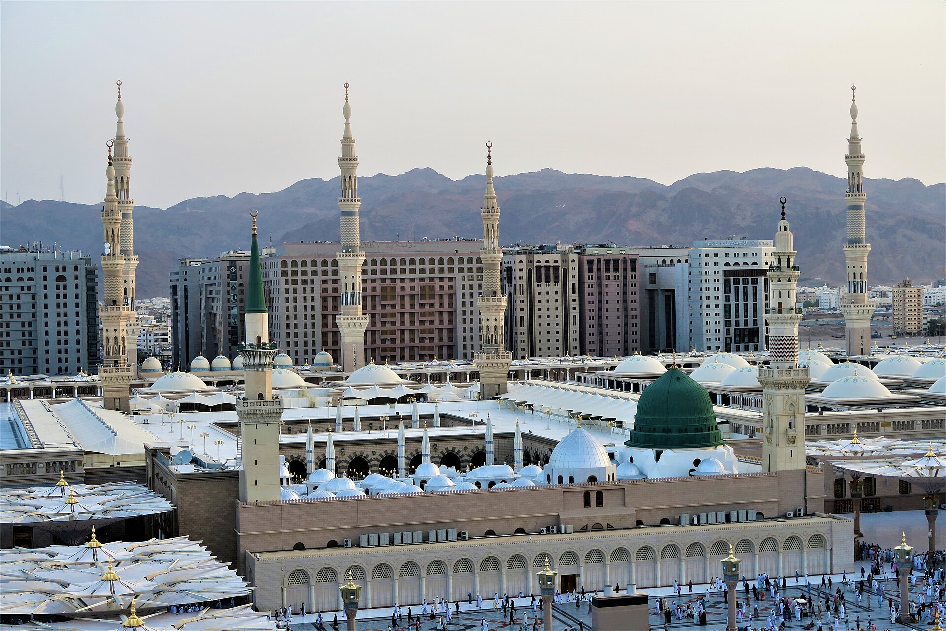 Al-Rayan National Colleges or Madinah representative education/campus visual